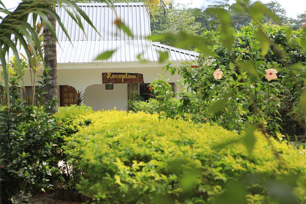 Villa Veuve Casadani Hotel La Digue Dış mekan fotoğraf